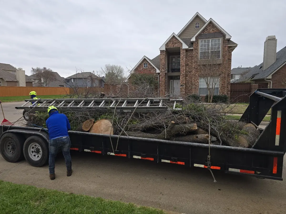 Expert Tree Pest Control with proper safety equipment in Cherry Fork
